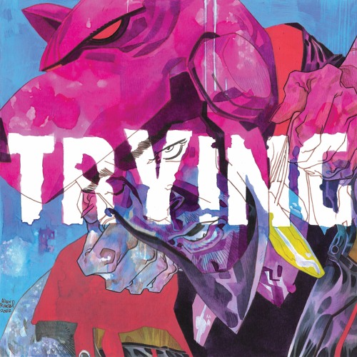 Ninja Funk- Trying (feat. Sara Sarina)
