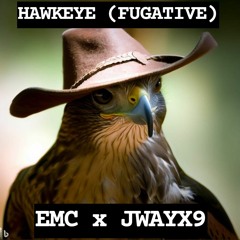 HAWKEYE (FUGITIVE) EMC x JWAYX9