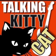 Steve Cash 83 & Sylvester Cash The Mean(er) Kitty Song