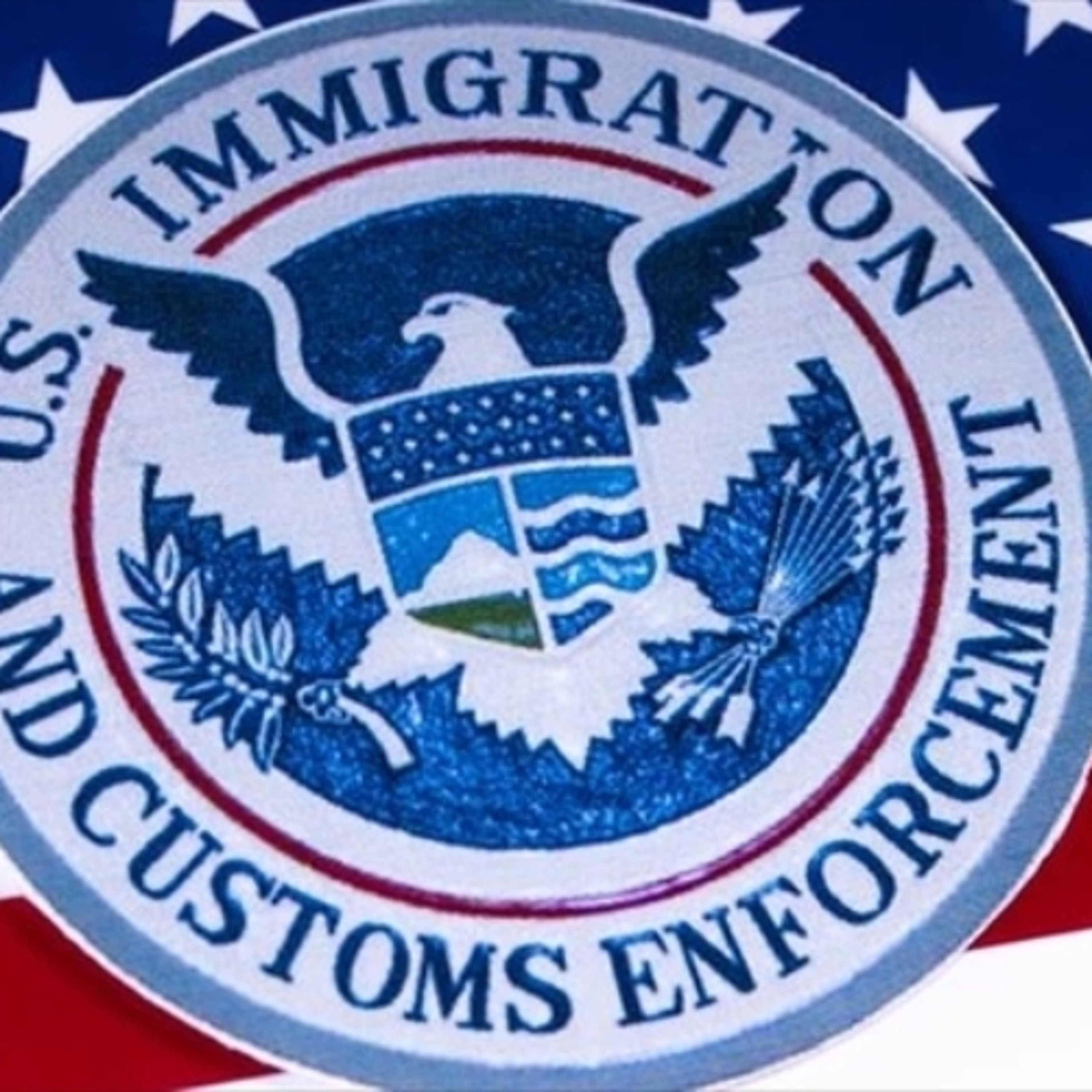 ICE OR AUTHORITARIAN FORCE? THE CASE FOR DISBANDMENT