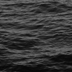 Sharks Ft. Prod, Dre