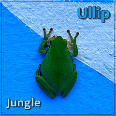 Jungle