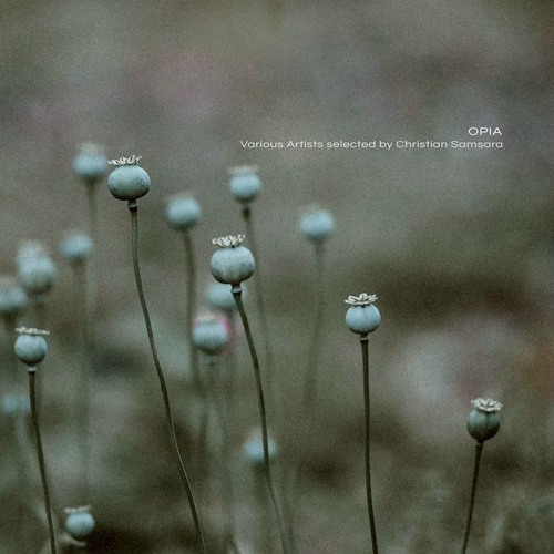 Premiere: Lars Leonhard - Depth Perception (Ashes Edit)