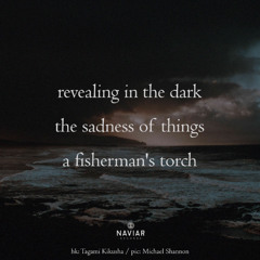 SONG 119 - NaviarHaiku609 - Revealing in the Dark