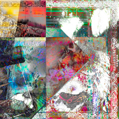 الهجرة المعاكسة