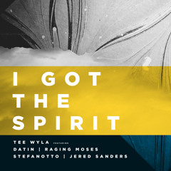 I Got the Spirit (feat. Datin, Jered Sanders, Raging Moses & Stefanotto)