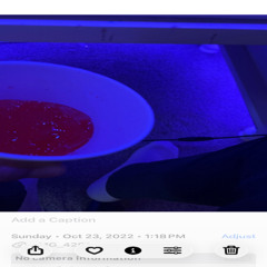 woohoo - prod by.  prodbsu