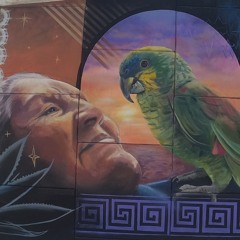 Untold Stories #11 / Progressive Mix