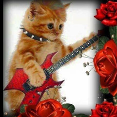 estella - Take my hand already!