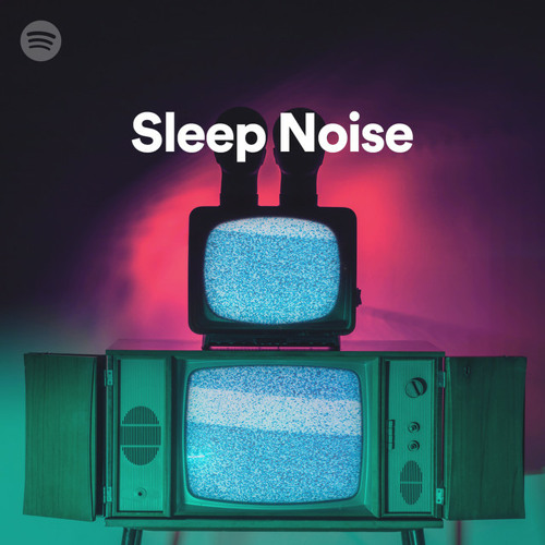 Sleep Noise