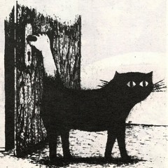 Black Cat