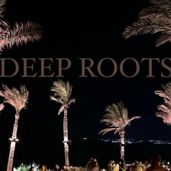 Afro House Mix Vol. 2 by Deep Roots