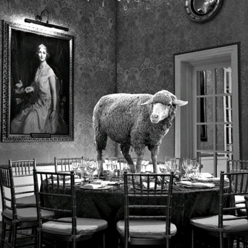 The Lamb