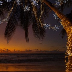 In-between Days (Boxing day to New Years Eve)