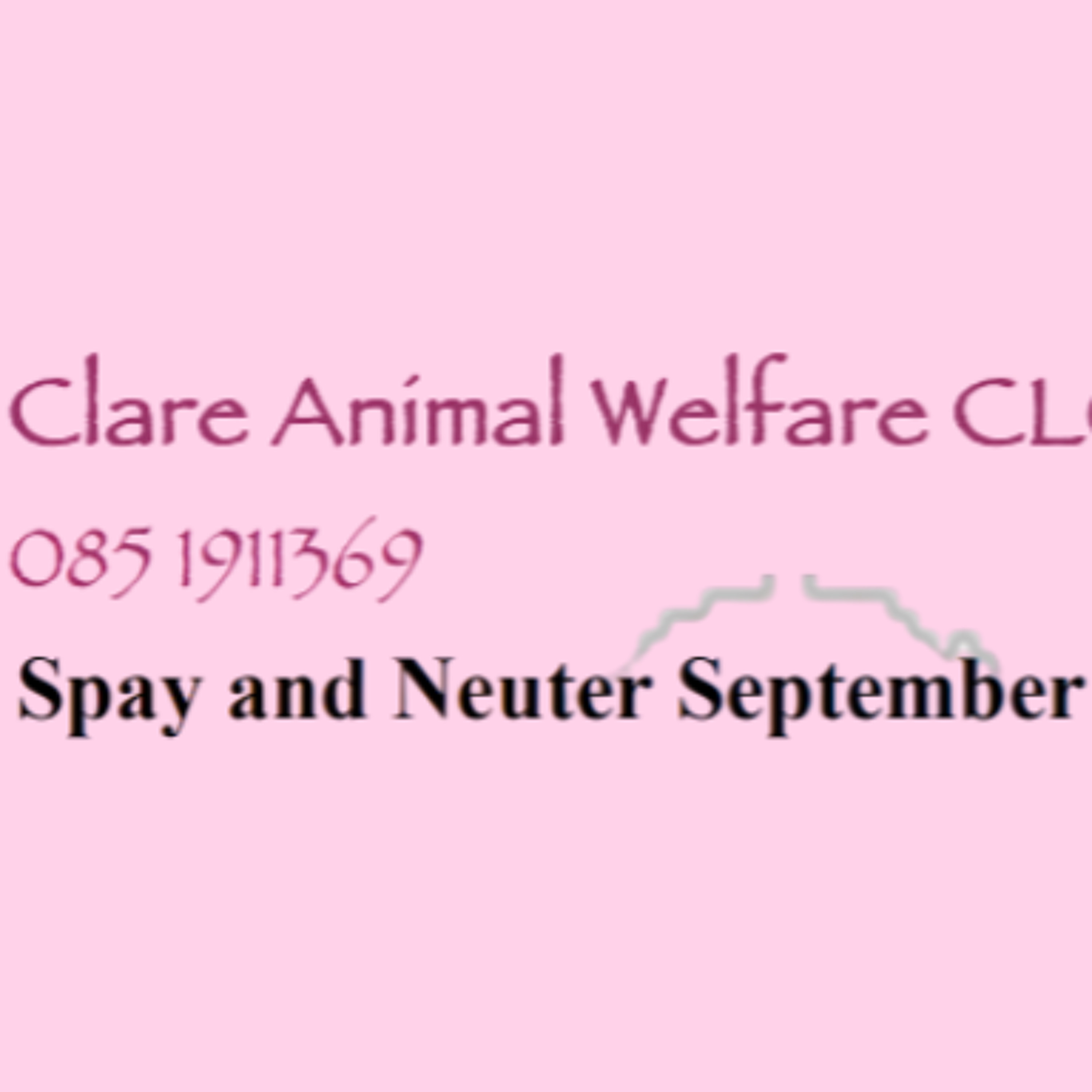 Clare Animal Welfare Launches Subsidised Spay & Neuter Campaign For 2026