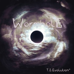 silver & tsuzu - WormholE
