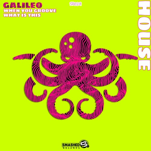 galiLeo - When You Groove (Original Mix)[SR029]