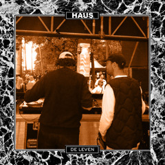 De Leven (HAUS kollektiv Remix)