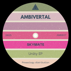 Skymate - Destination (Original mix) / Preview