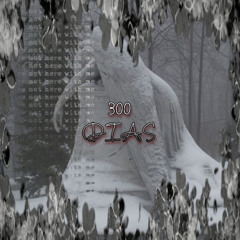 @STASHXX - 300 DIAS