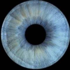 synthetic prophecies