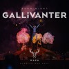 GALLiVANTER - Maxa - Burn Night - Burning Man 2024 DJ mix artwork - Electronic music tracklist cover image