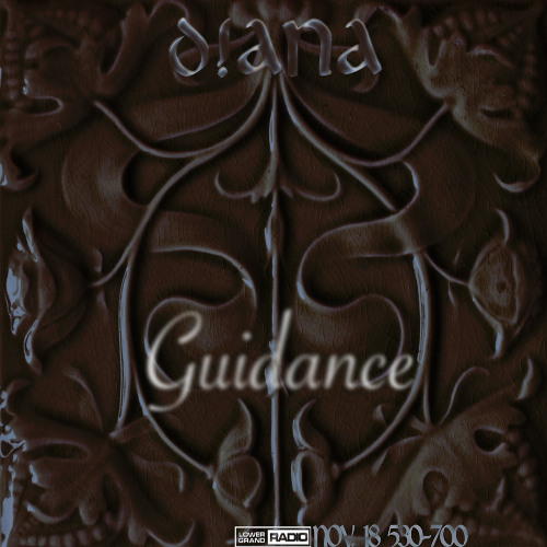 guidance w d!ana for lower grand radio (11_18_24)
