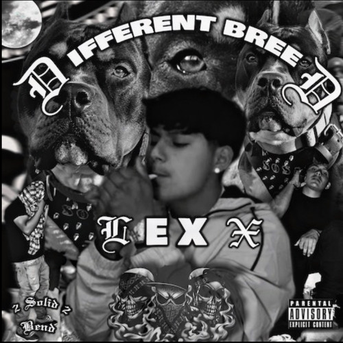 Lexx - “Different breed”