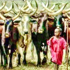 OX