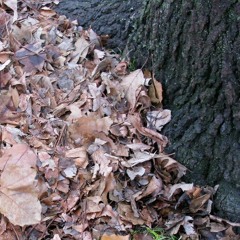 The Truth V3 DEMO 100bpm