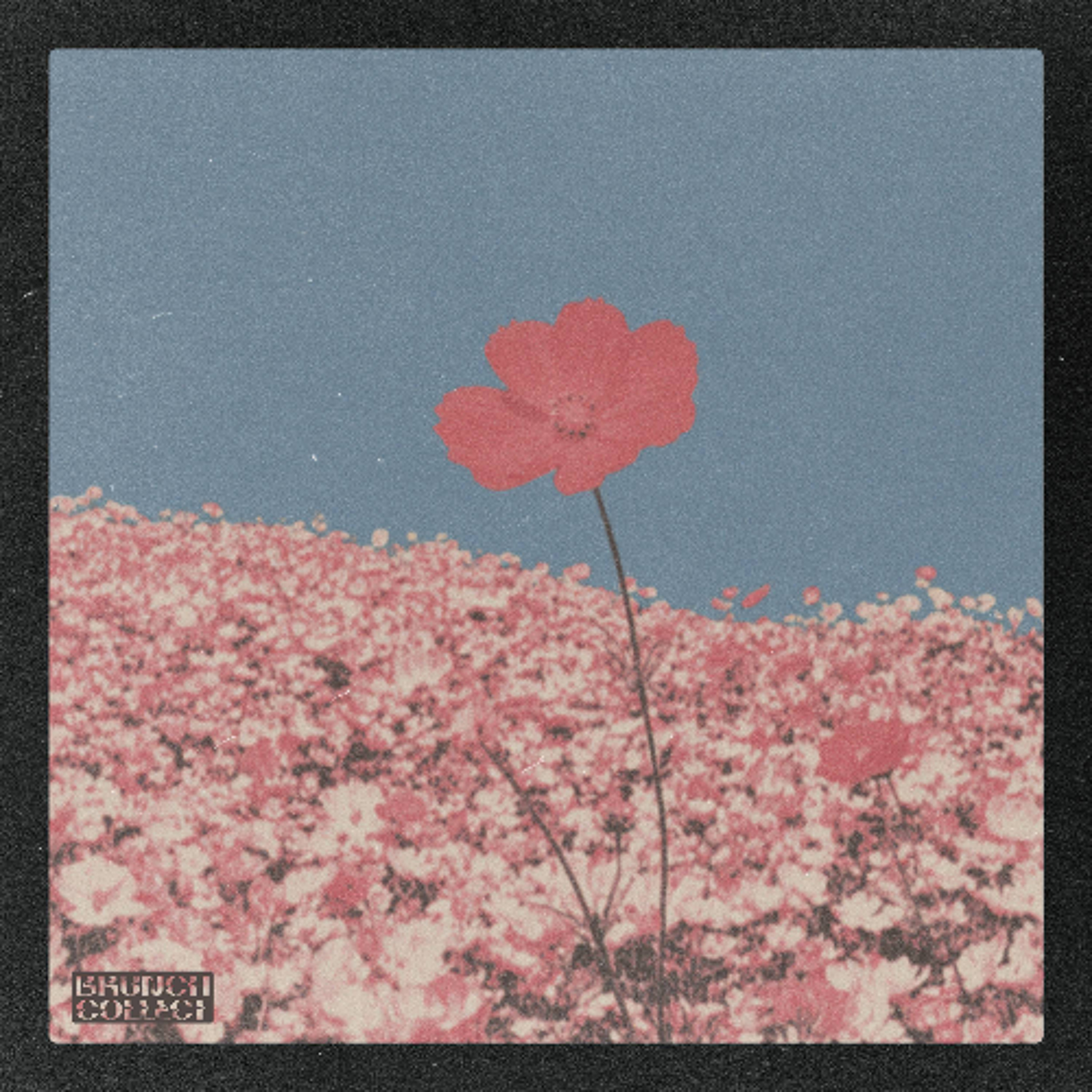 Fleaureque - Luciole episode artwork