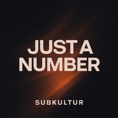 SUBKULTUR - Just a Number