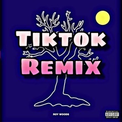 TikTok Mashup 2021 February Not Clean (1)