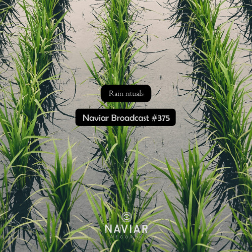 Naviar Broadcast #375 – Rain rituals – Wednesday 9th July 2025