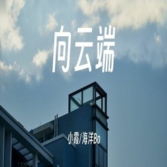 ChinaDJ - 小霞&海洋Bo - 向云端 - 2023(Dj小兰 FunkyHouse Mix)