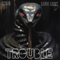 Trouble (feat. Luh Link)