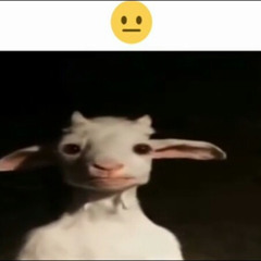Yup, it is quite fucked up, actually (B4 THE FUN/PR3 REMIX CONTEST)