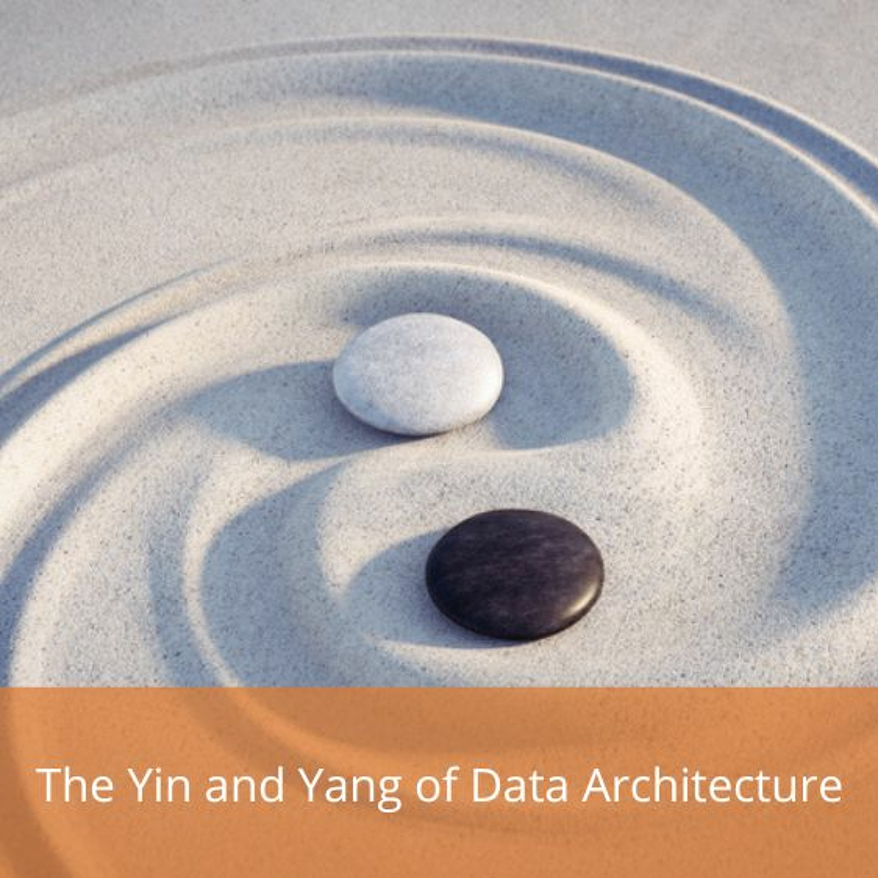 cover of episode The Yin And Yang Of The Data Architecture - Audio Blog