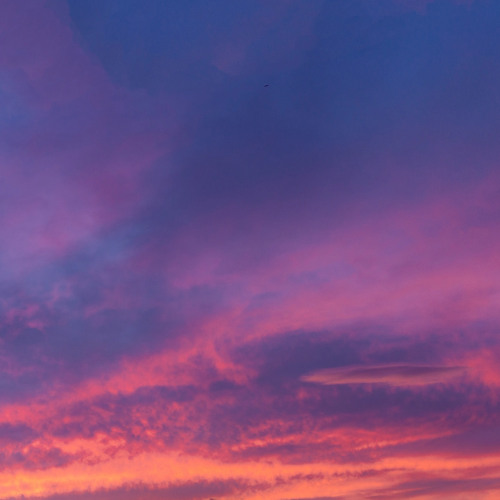 Mocha - Demo Version