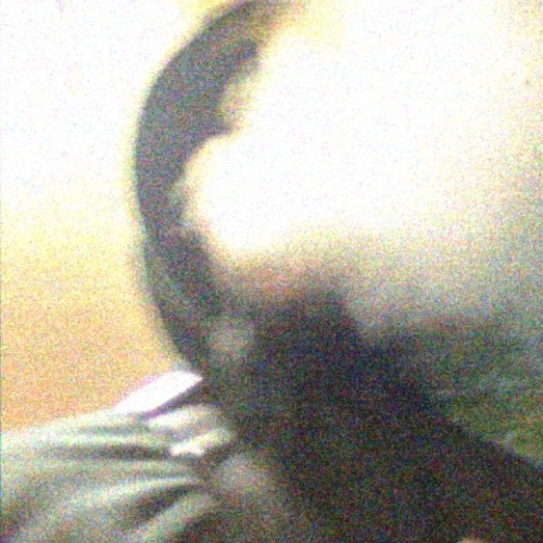 now they know us prod devoninco