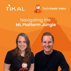 Navigating the ML Platform Jungle