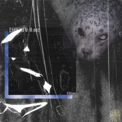 Ukkunny - Datura Innoxia