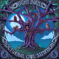NightBirds - Nocturnal Owl Symphony