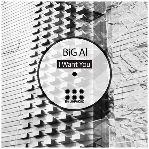 Big Al - I Want You (Analog Trip Remix)