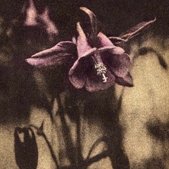 taught to love (demo)
