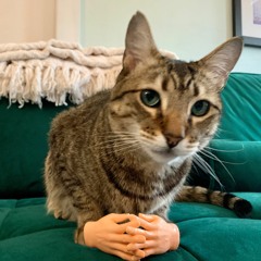 Miss Mako