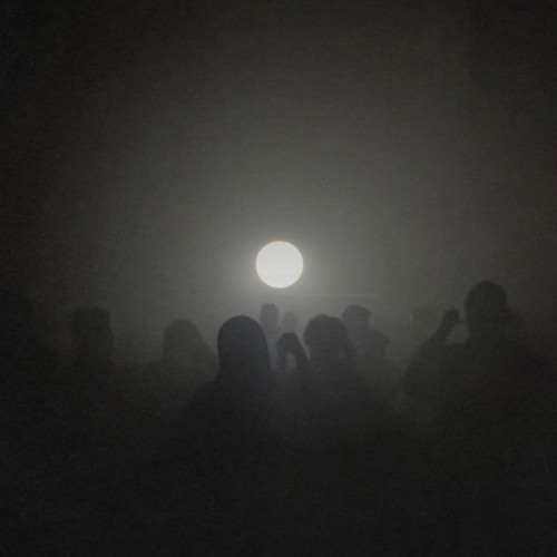 Totality: TÆNIA