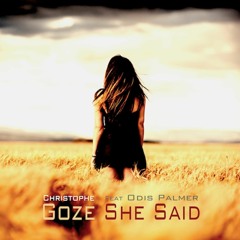 She said (feat. Odis Palmer)