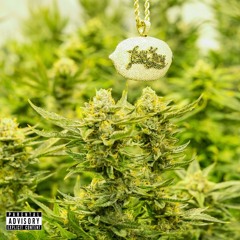 Rob $tone - Stackin'