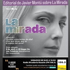 EDITORIAL DE JAVIER MONTÚ SOBRE LA MIRADA - EHDLP 8 DE ABRIL DE 2023
